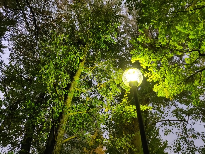 OnePlus 6Tで撮影した夜の街灯