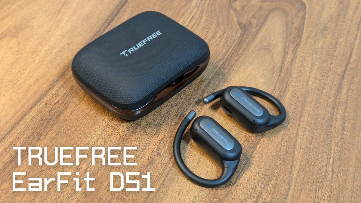 TRUEFREE EarFit DS1 レビュー