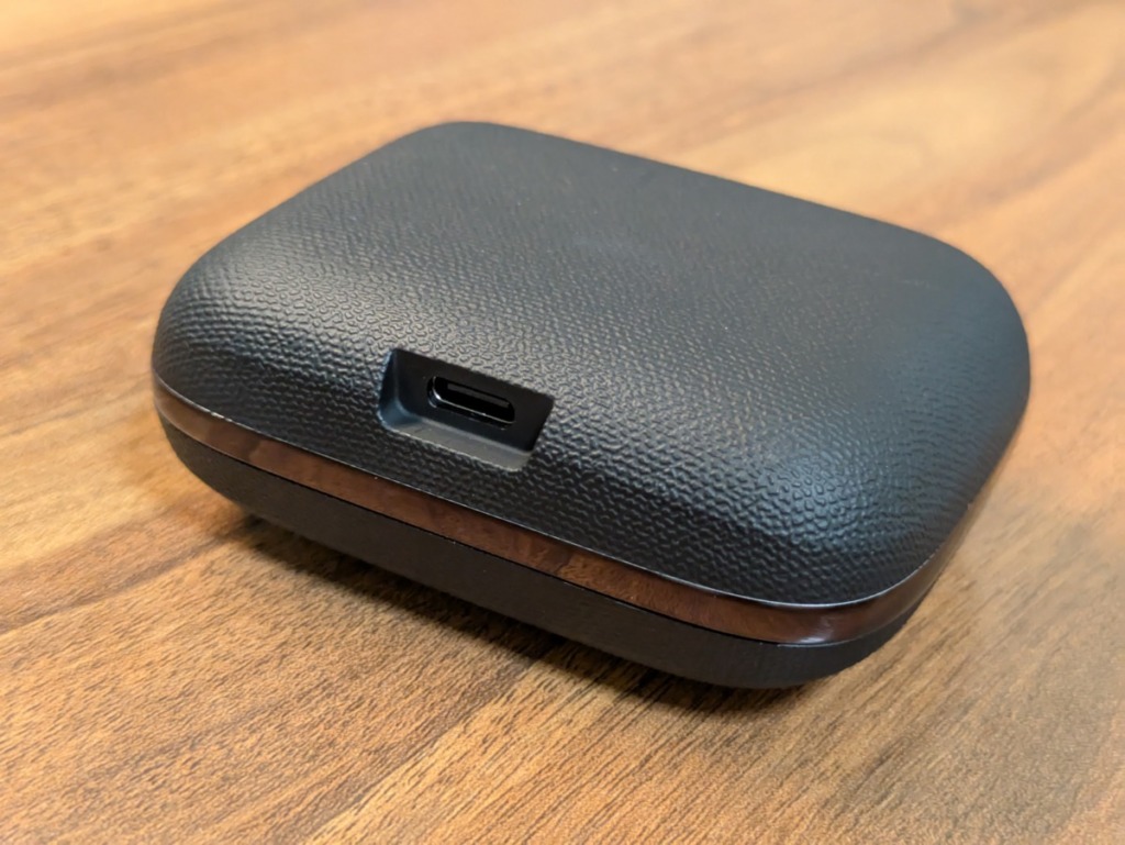 TRUEFREE EarFit DS1 レビュー ケースとのUSB-C充電口
