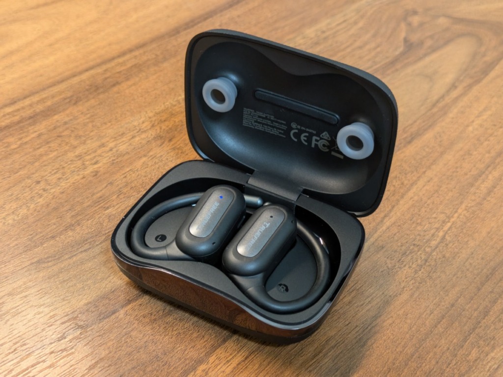 TRUEFREE EarFit DS1 レビュー ケースと本体