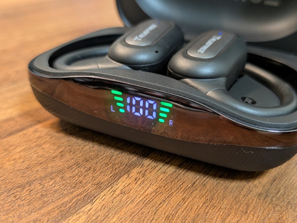 TRUEFREE EarFit DS1 レビュー ケース前面のバッテリー表示