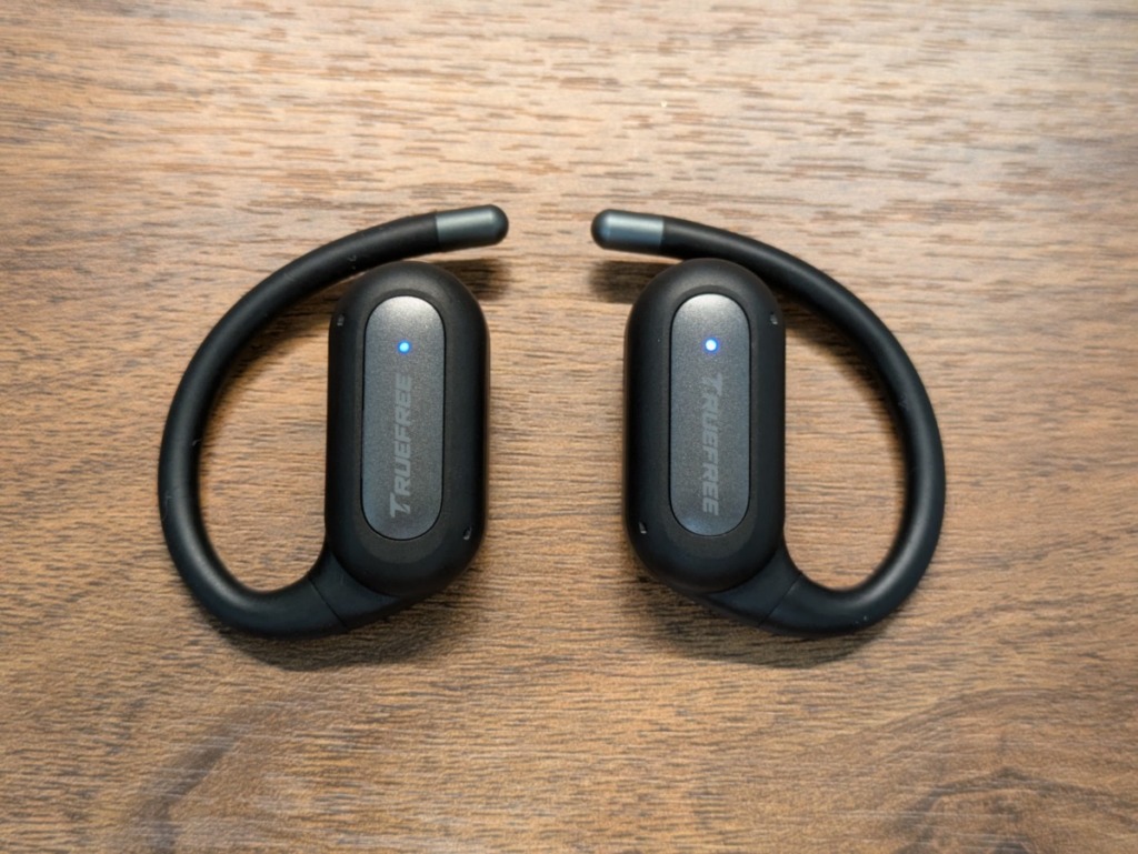 TRUEFREE EarFit DS1 レビュー 外側のデザイン