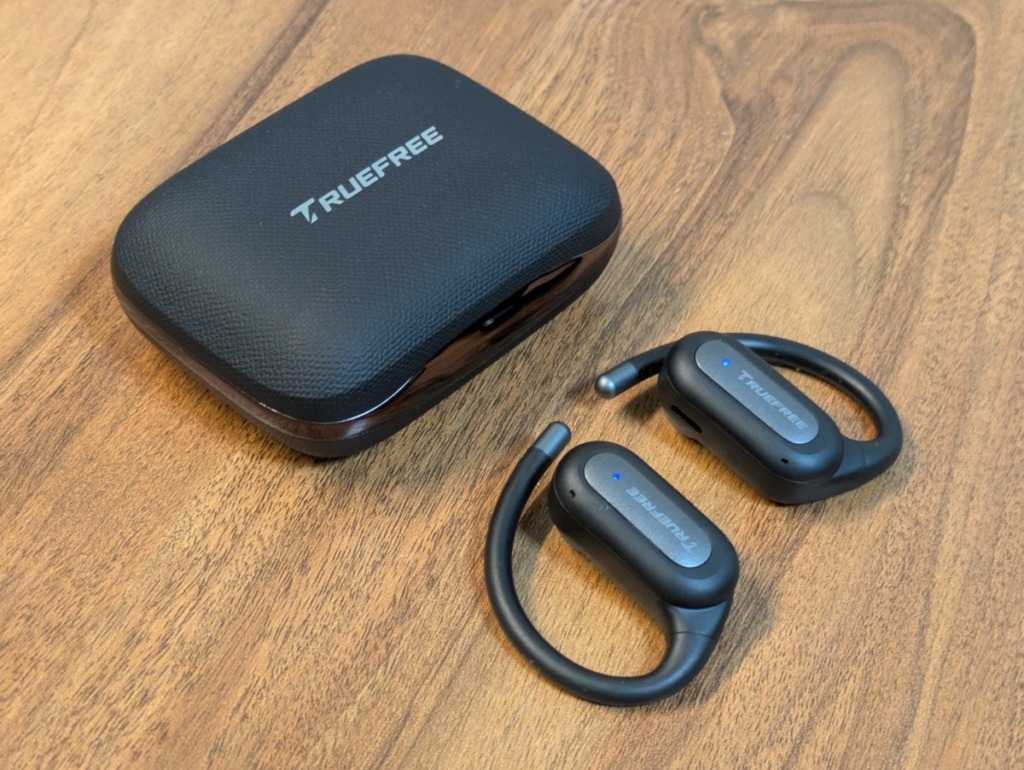 TRUEFREE EarFit DS1 レビュー 全体像