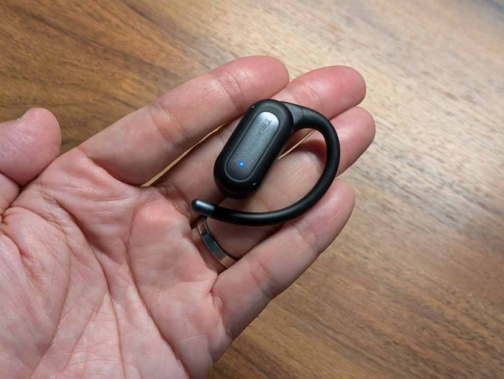 TRUEFREE EarFit DS1 レビュー 本体の大きさ コンパクト